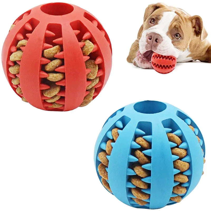 Interactive Rubber Dog Ball Toy