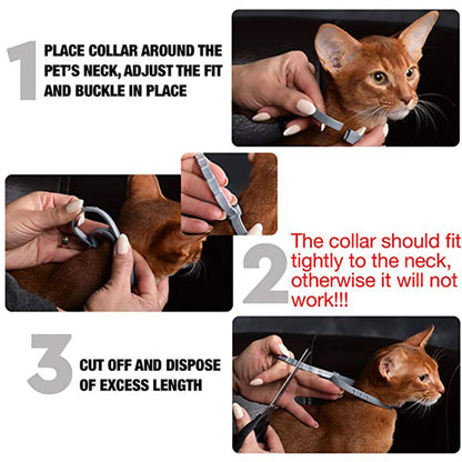 Pet Flea & Tick Prevention Collar