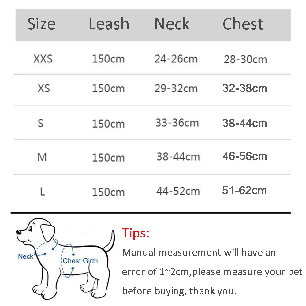 Dog Harness & Leash Set