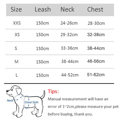 Dog Harness & Leash Set