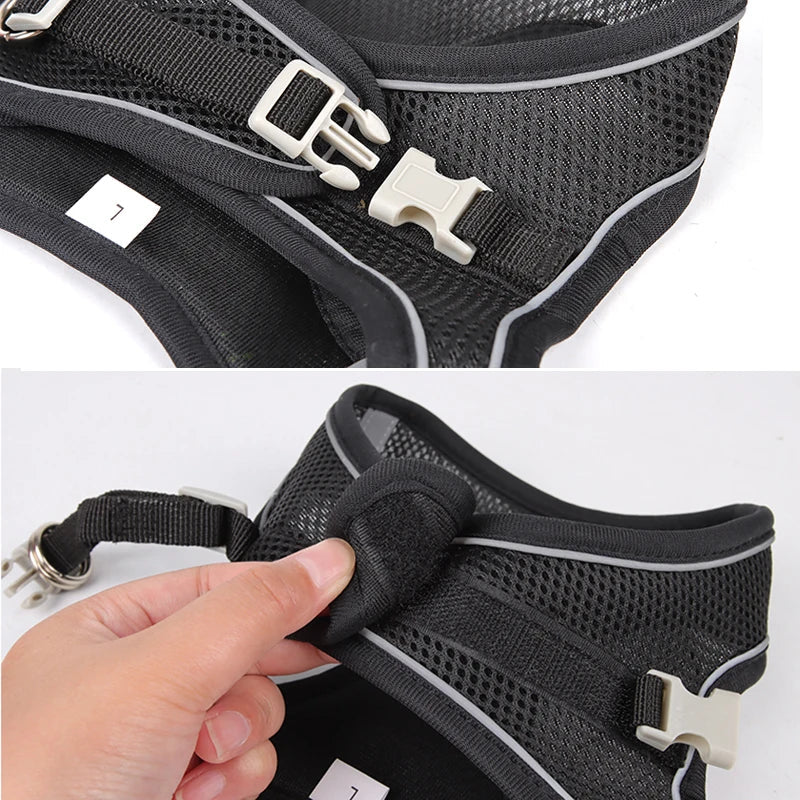 Dog Harness & Leash Set