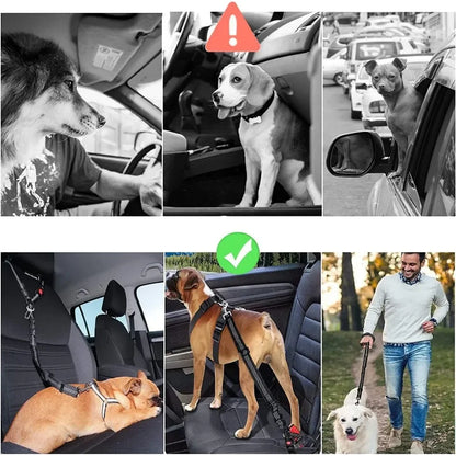 2-in-1 Dog Car Seatbelt & Headrest Restraint