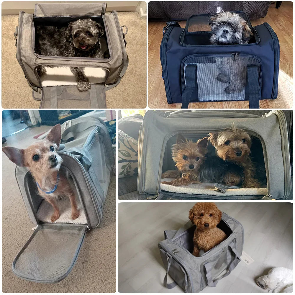 Soft-Side Dog Carrier Backpack