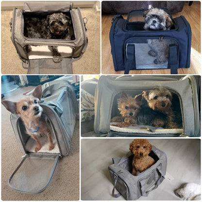 Soft-Side Dog Carrier Backpack