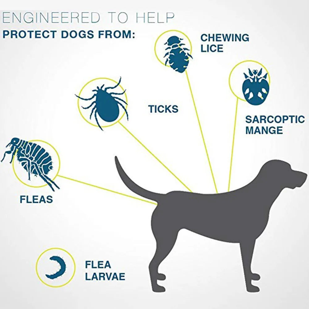 Pet Flea & Tick Prevention Collar